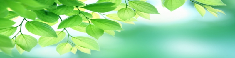 �����ۂ�X�����y�f���T�C�g